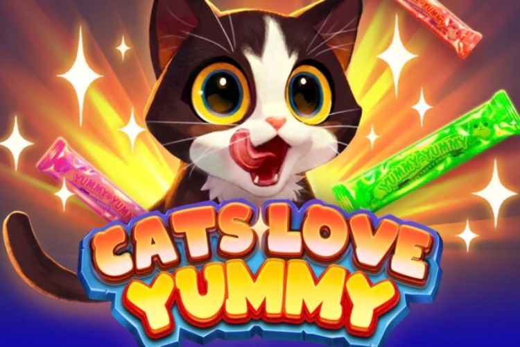 Cats Love Yummy
