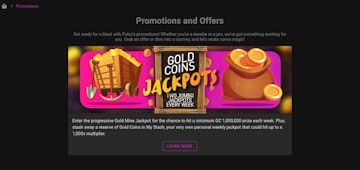 Pulsz Casino Promotions