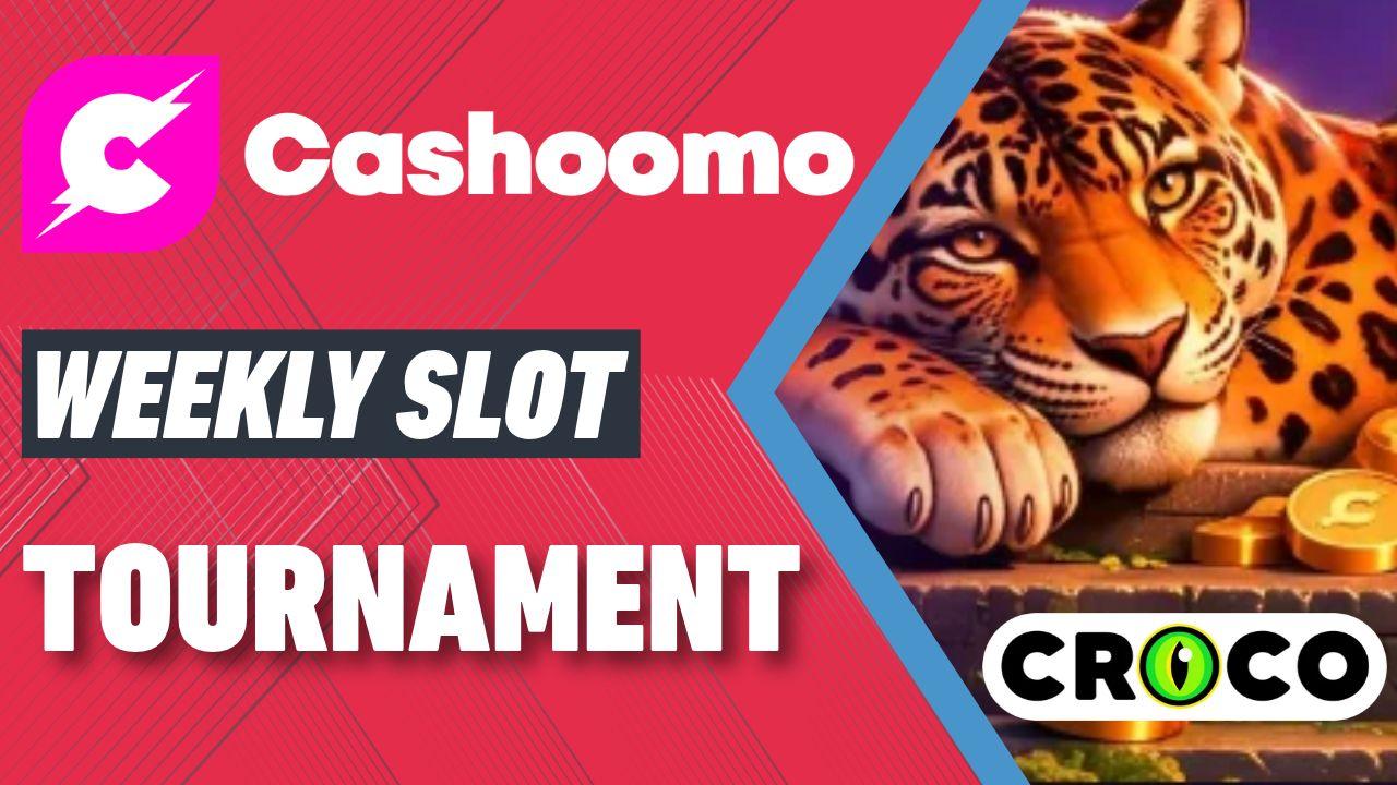 Cashoomo Stein Showdown Tournament Red