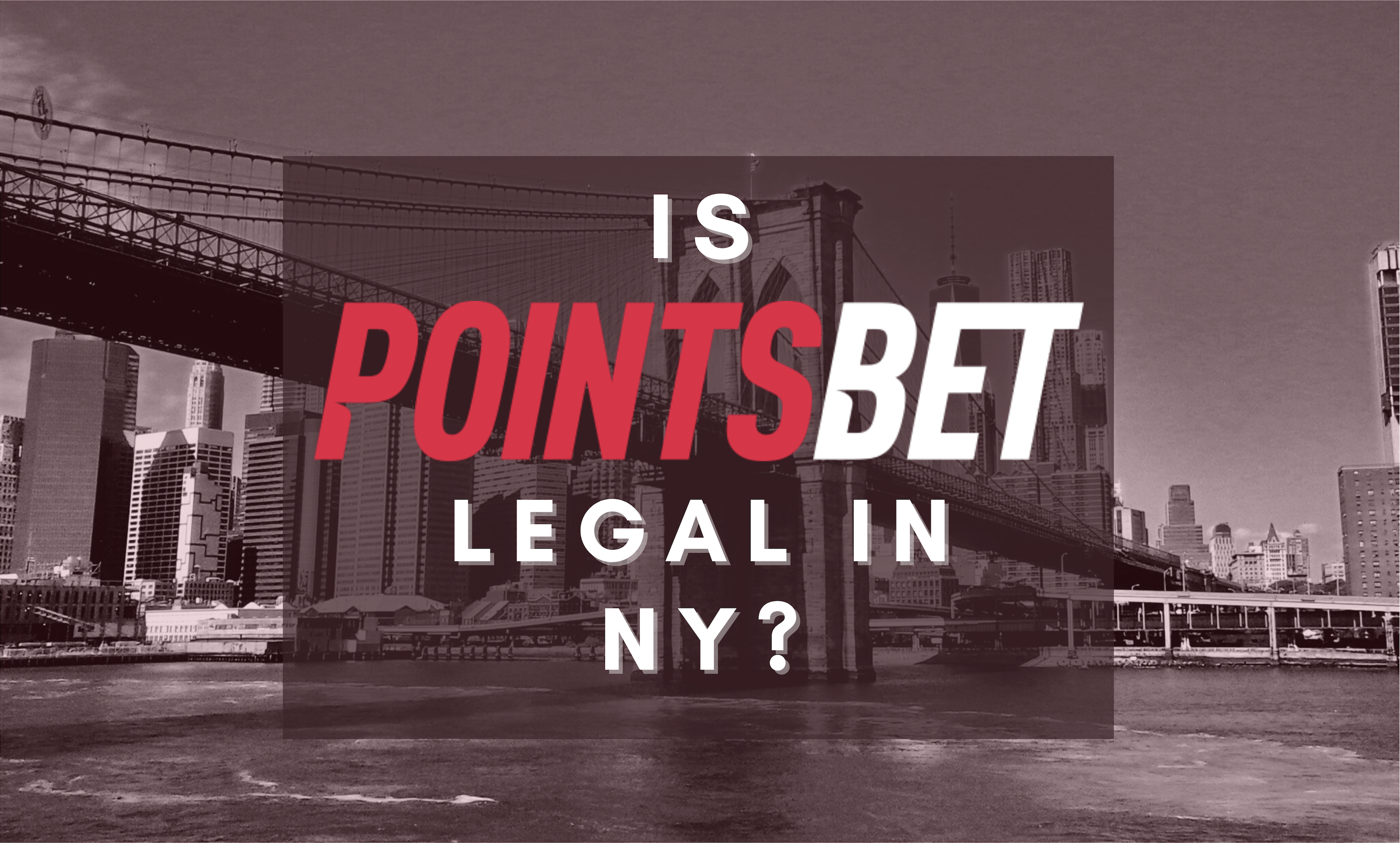 Is PointsBet Legal in NY Banner
