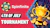 Spinfinite 4th of July Tournament Red